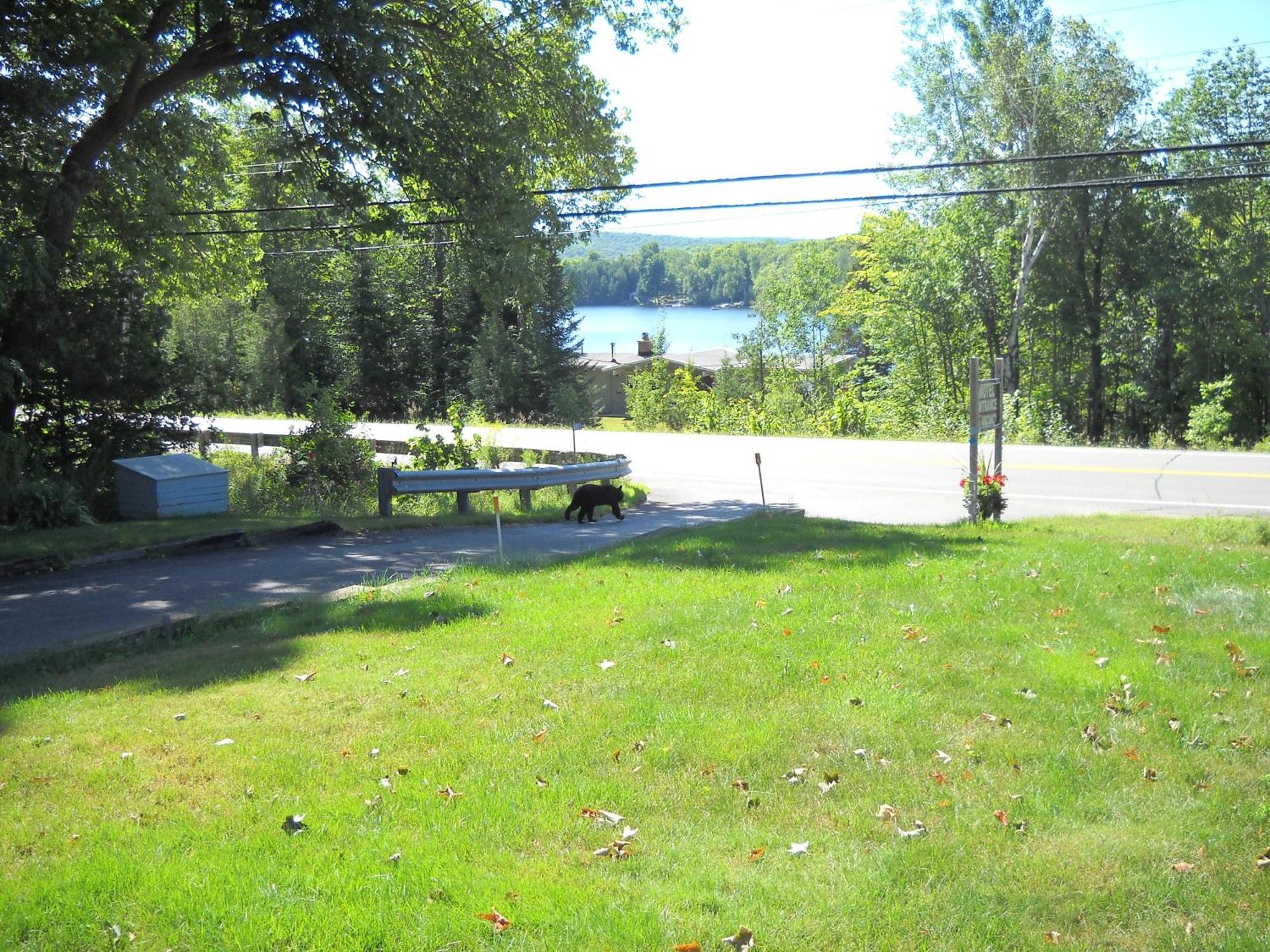 Lakeview Motel ハリバートン エクステリア 写真